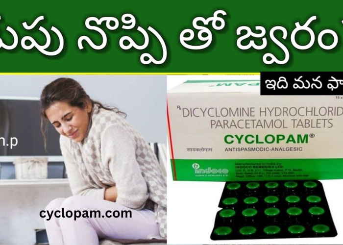 Cyclopam Tablet Uses in Telugu