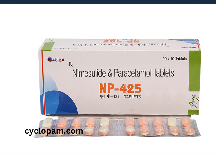 Nimesulide and Paracetamol Tablets