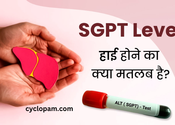 Sgpt Test in Hindi