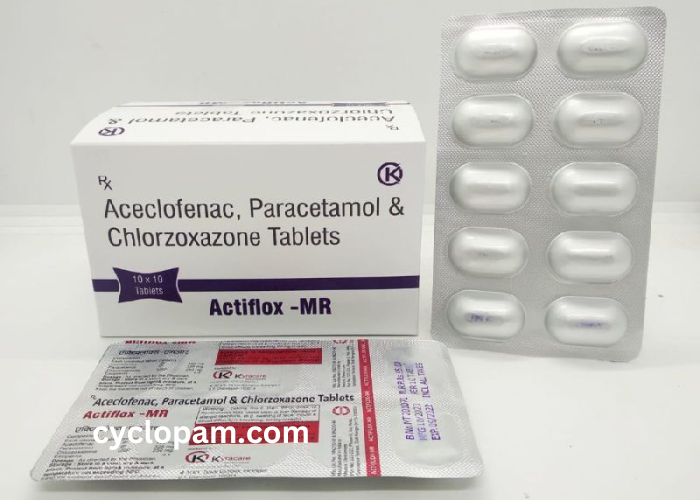 Aceclofenac Paracetamol and Chlorzoxazone Tablets Uses